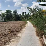 Bán đất 2 nền 5x22m, Cầu Kè, Vĩnh Long, giá 150 triệu - Ảnh thu nhỏ 1