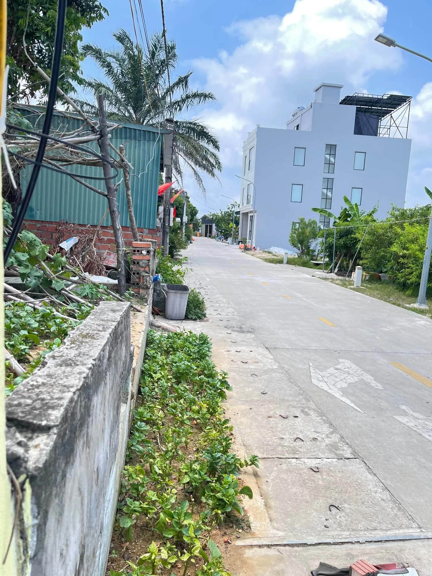 Bán lô đất góc 3 mặt tiền 600m² Đảo Cô Tô - Ảnh 1