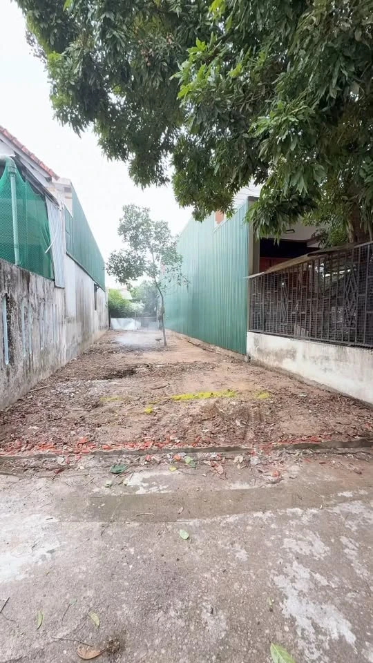 Bán lô đất Quận 6 125m² 1 tỷ - Ảnh thu nhỏ 3