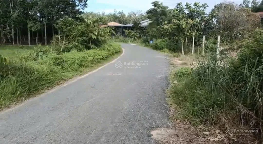 Bán đất tại KH Lộc Chánh, 600 triệu, 302 m2, đất thổ cư, pháp lý đầy đủ - Ảnh thu nhỏ 2