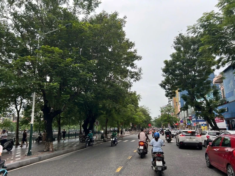 Bán nhà 55m2 3PN có sân cổng để ô tô đường Nguyễn Đức Cảnh, gần hồ Tam Bạc, Hải Phòng