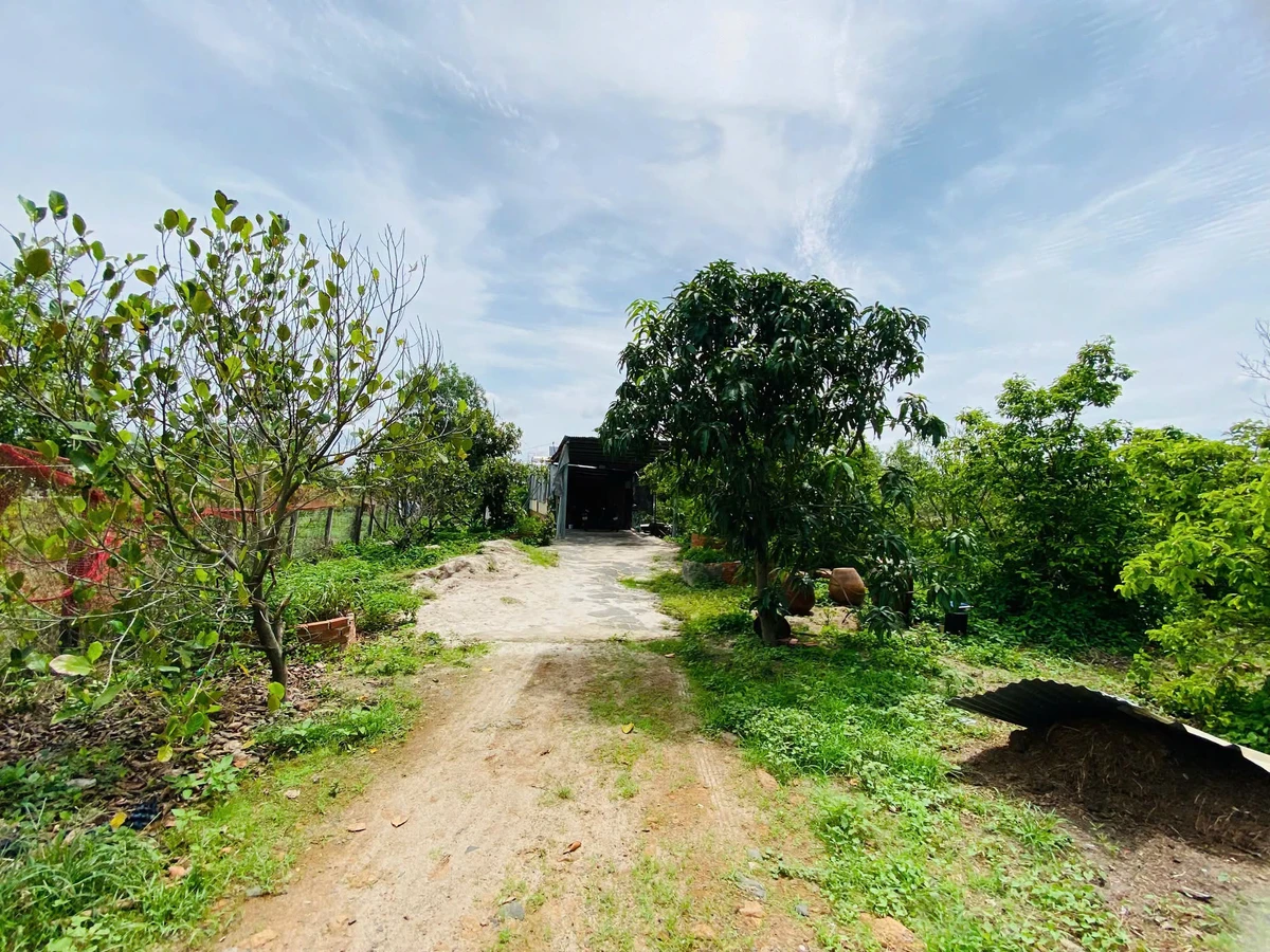 Bán đất 1150m² gần Lộc An, Bà Rịa - Vũng Tàu, giá 1.5 tỷ - Ảnh thu nhỏ 4