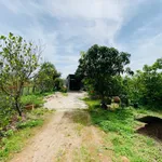 Bán đất 1150m² gần Lộc An, Bà Rịa - Vũng Tàu, giá 1.5 tỷ - Ảnh thu nhỏ 4