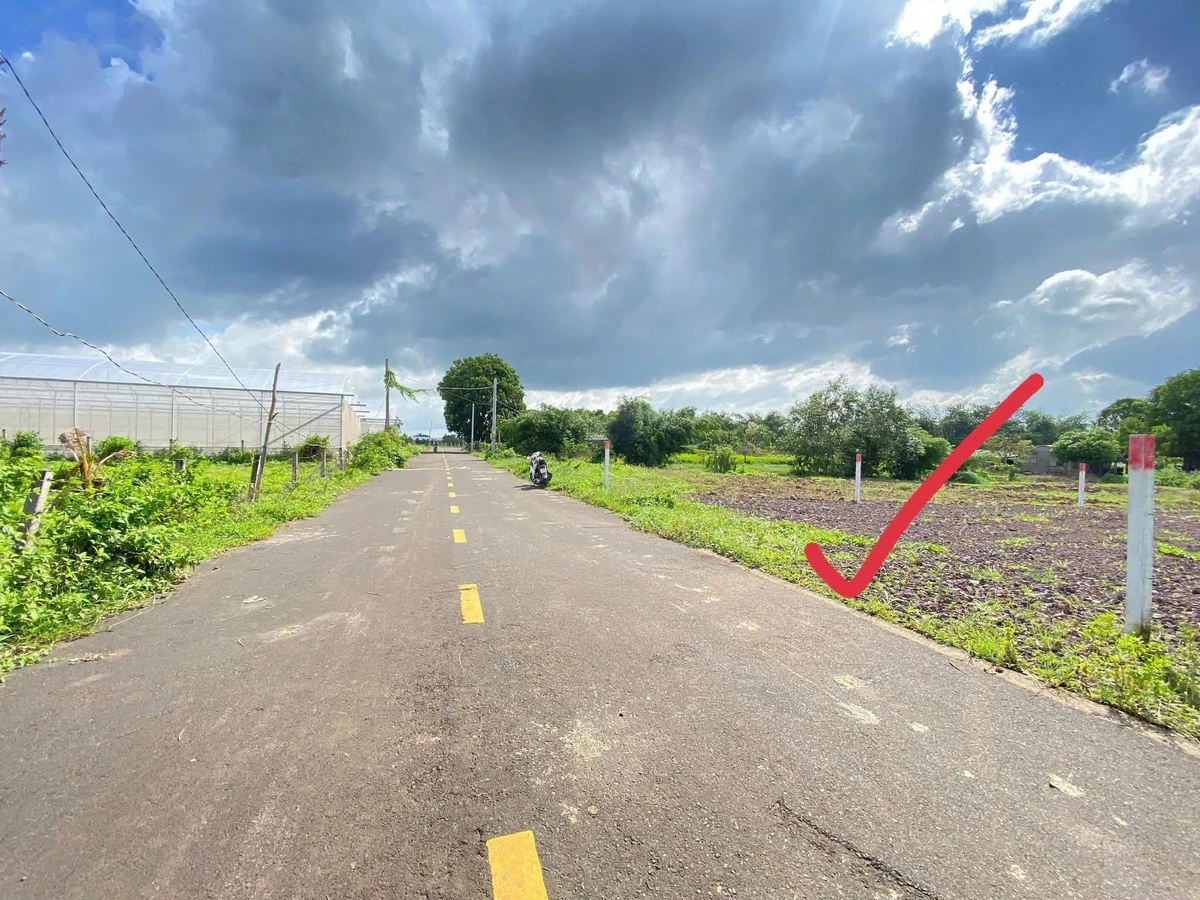 Bán đất ngang 12m, 1000m² tại xã Đất Đỏ - Ảnh thu nhỏ 3