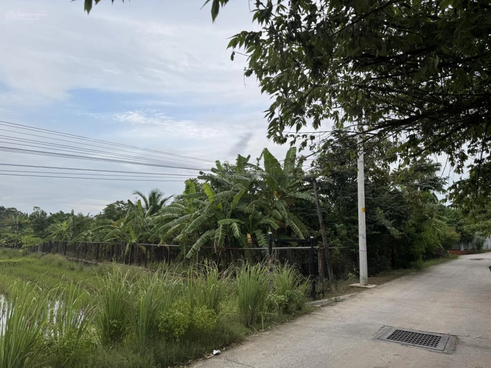 Bán 14.237,5 m2 (1 ha4 ) đất tại Ea Khăl, Ea H'Leo, Đắk Lắk, giá cực chất 1,5 tỷ - Ảnh thu nhỏ 3
