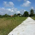Bán đất thổ Châu Thành Long An 145m2 355 triệu - Ảnh thu nhỏ 2