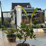Bán nhà vườn 729m² Hàm Mỹ Bình Thuận 3,7 tỷ - Ảnh thu nhỏ 4
