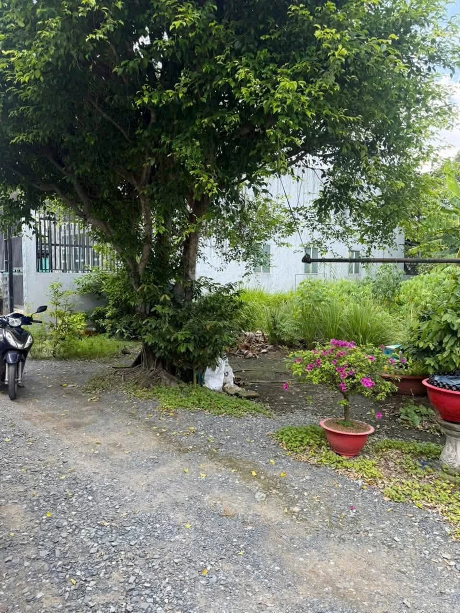 Bán đất thổ cư 100m² Ấp 1, Xã An Thạnh, Bến Lưc, Long An - Ảnh 1