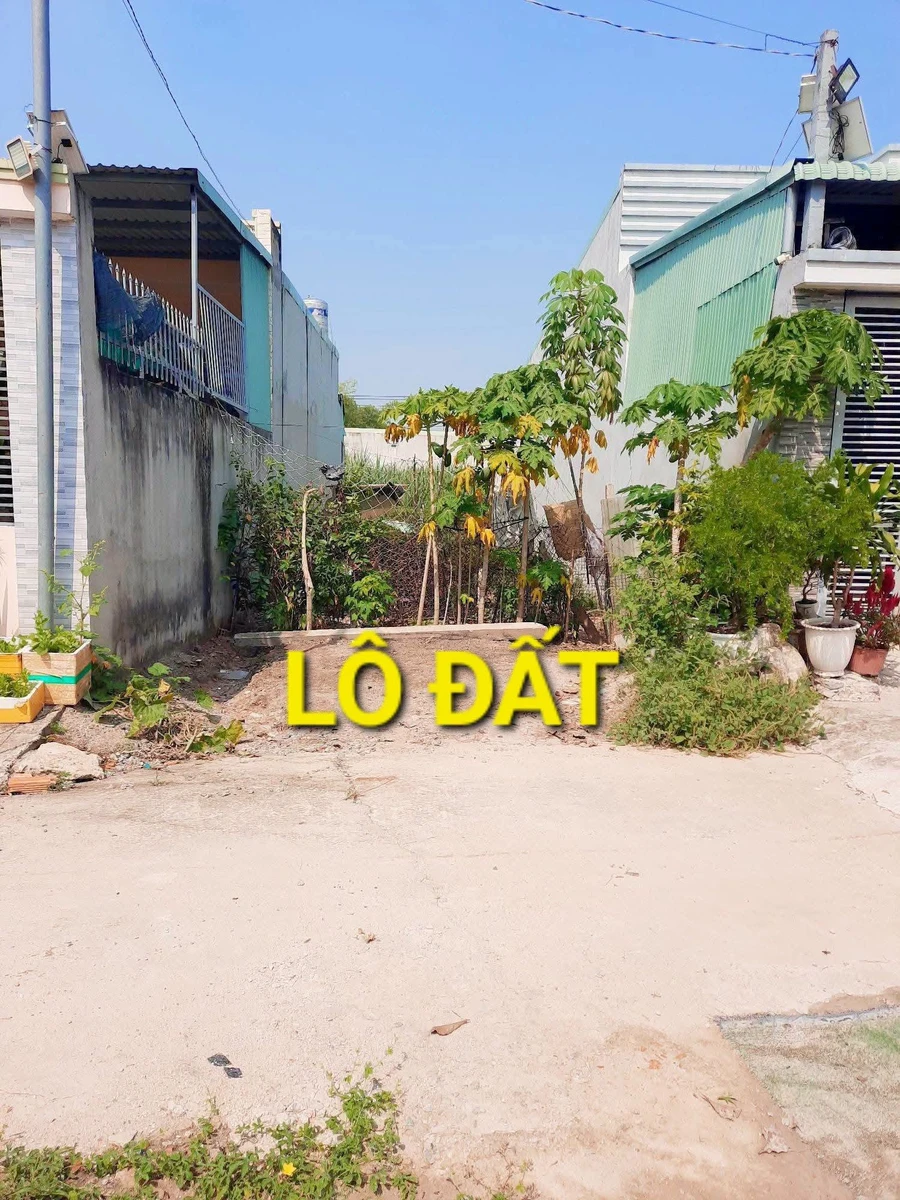 Bán đất Thủ Dầu Một 147.5m² 1 tỷ 650 triệu - Ảnh thu nhỏ 3