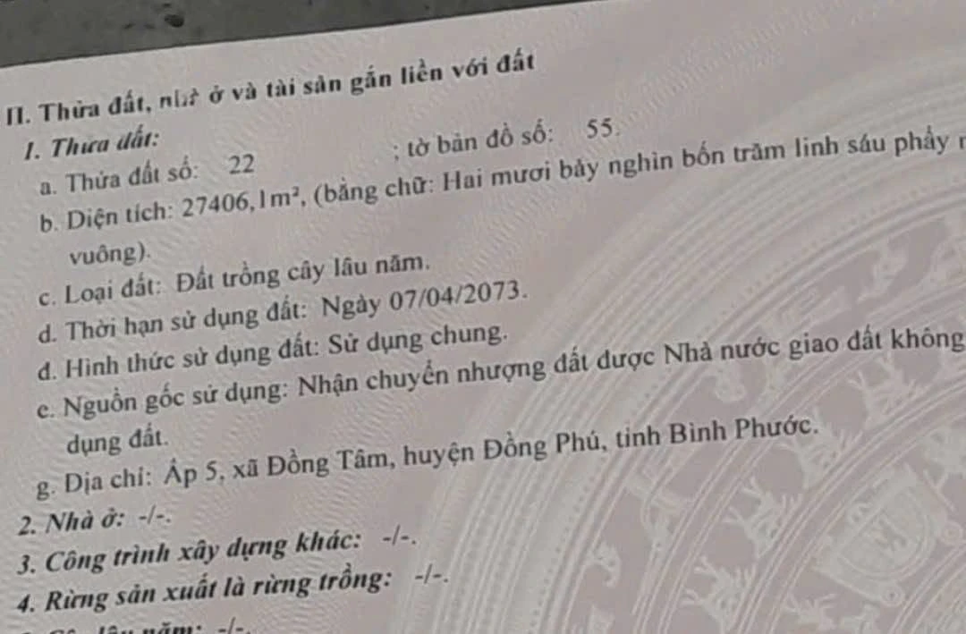 Bán đất cao su gần 2,07 ha Cần Giờ 4,7 tỷ - Ảnh thu nhỏ 3