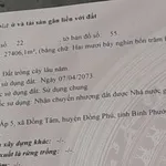 Bán đất cao su gần 2,07 ha Cần Giờ 4,7 tỷ - Ảnh thu nhỏ 3