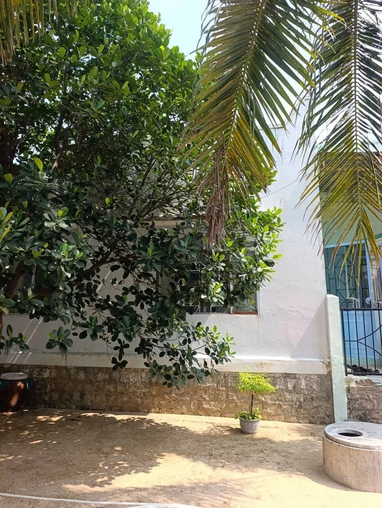 Bán đất vườn 400m² Long Bình 1, 1 tỷ 9xx triệu - Ảnh thu nhỏ 4