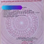 Bán đất Đạ Ròn Đơn Dương 198m2 thổ cư 850 triệu - Ảnh thu nhỏ 1