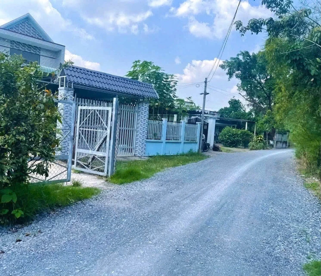 Bán đất 137m2 thổ cư, sổ hồng riêng, xã Tân An Hội, Củ Chi, giá 1,15 tỷ - Ảnh thu nhỏ 3