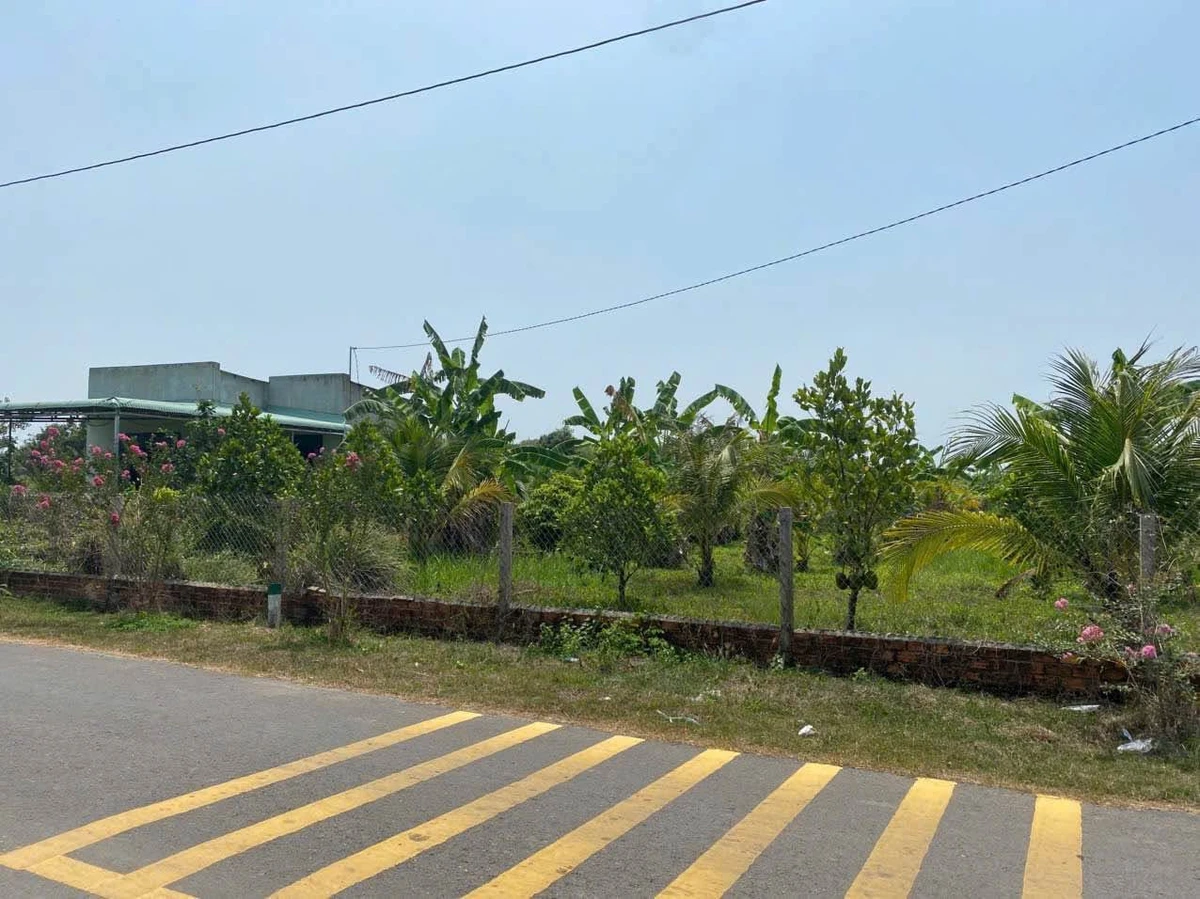 Bán đất 1,9 hecta Xã Phú Lý Đồng Nai - Ảnh thu nhỏ 3