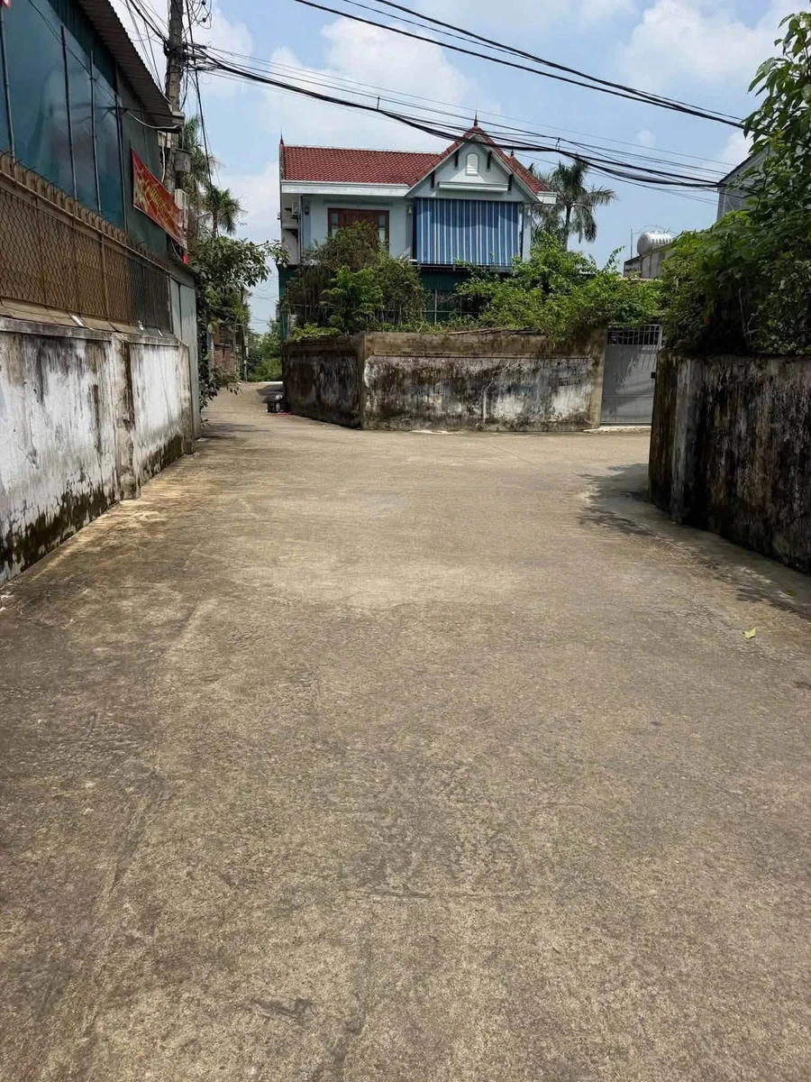 Bán đất tặng nhà C4 119.5m2 Trần Nhật Duật Tân Phú - Ảnh 1