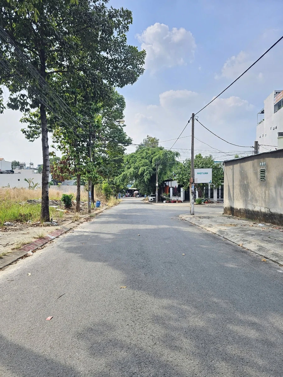 Bán đất xây tự do 100m2 gần KCN Tân Đông Hiệp B 4 tỷ 150 - Ảnh thu nhỏ 4