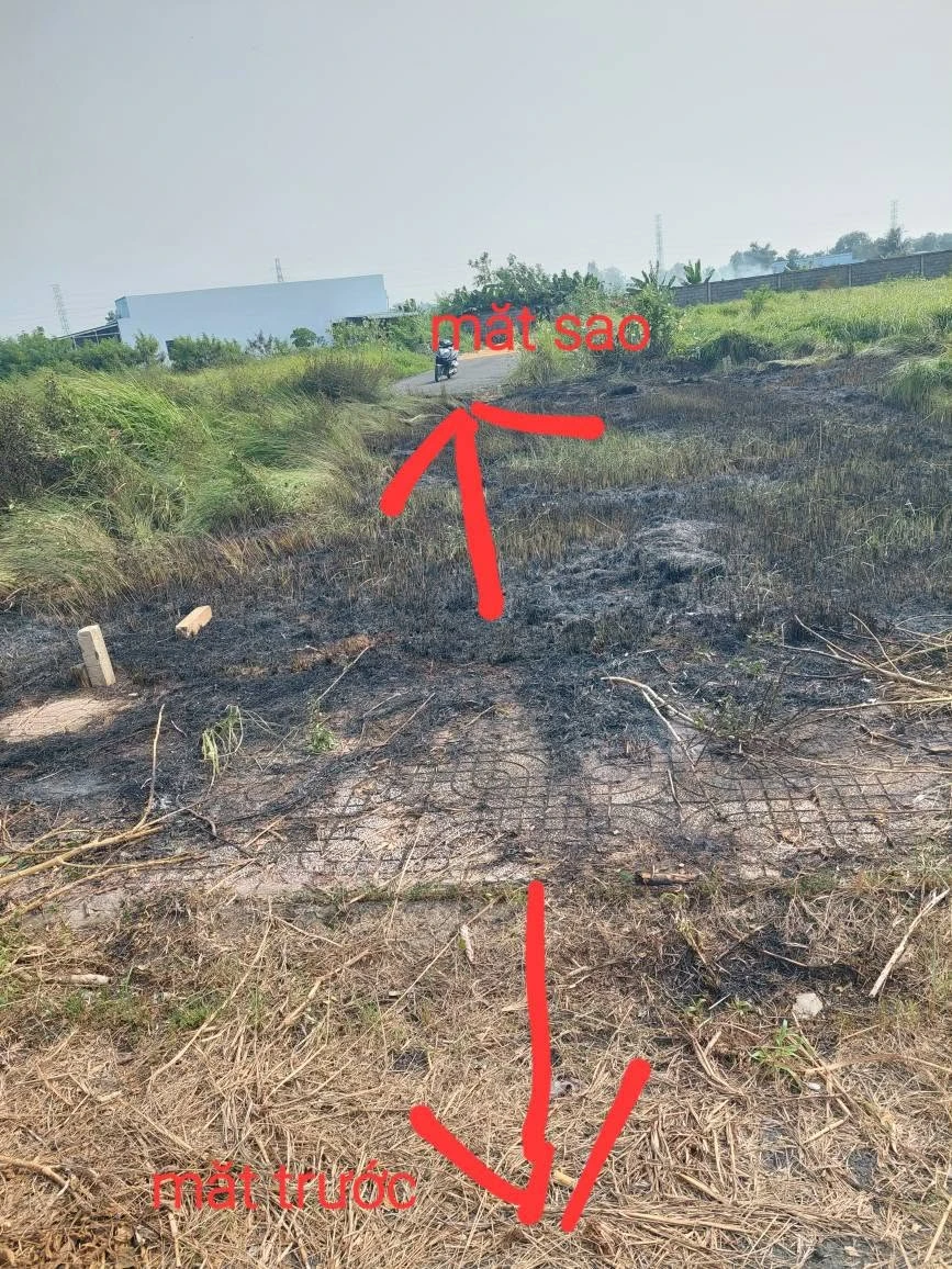 Bán nền đất 87m² thổ cư Tân Lân Nam Phong Cần Dước 790 triệu - Ảnh thu nhỏ 3