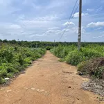 Bán lô đất gần 1 sào 3 tại Hòa Thuận Đạt Lý, 1 tỷ 380 triệu - Ảnh thu nhỏ 2