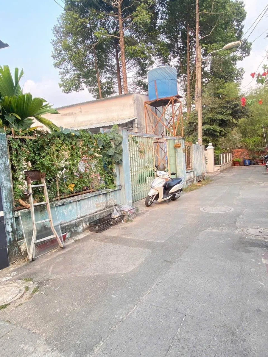 Bán đất 339m² gần Đại học Thủ Dầu Một, Bình Dương - Ảnh thu nhỏ 2