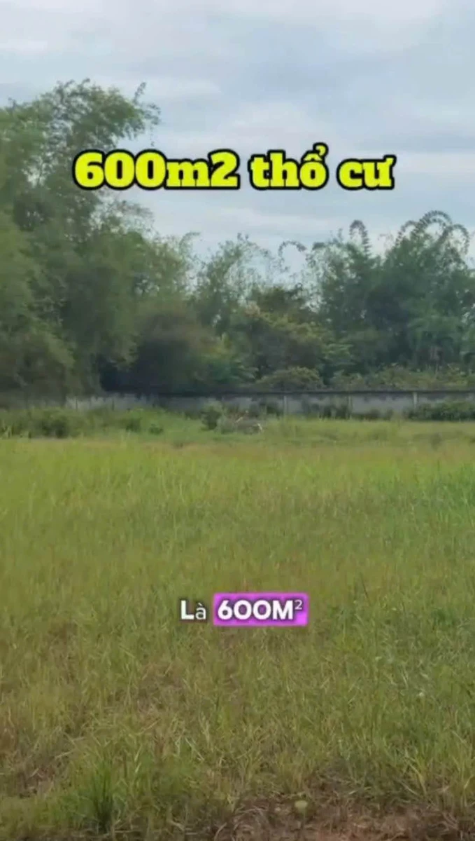 Bán đất 2.600m² Đức Hoà Long An, mặt tiền tỉnh lộ 822 - Ảnh thu nhỏ 3