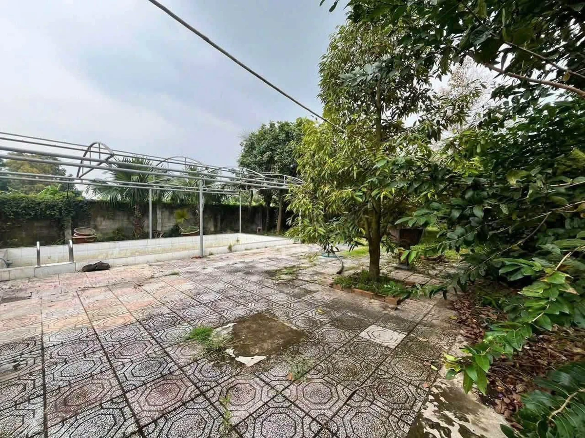 Bán nhà vườn 2300m2 có hồ bơi, Đồng Nai, 1.85 tỷ - Ảnh thu nhỏ 4