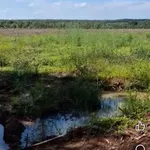 Bán 6ha đất trống Phú Riêng 1 tỷ 1/ha - Ảnh thu nhỏ 3