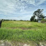 Bán đất thổ cư 300m² Bình Thuận Lâm Đồng - Ảnh thu nhỏ 3