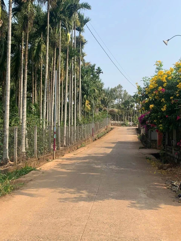 Bán đất 144m² mặt tiền Đại Lộ Đông Tây, Đắk Lắk
