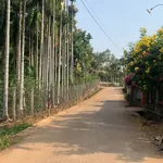Bán đất 144m² mặt tiền Đại Lộ Đông Tây, Đắk Lắk - Ảnh thu nhỏ 1