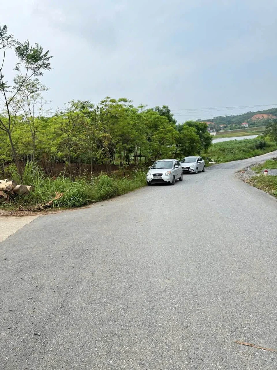 Bán đất 1174m2 hai mặt tiền Phú Thọ, 800 triệu - Ảnh thu nhỏ 3