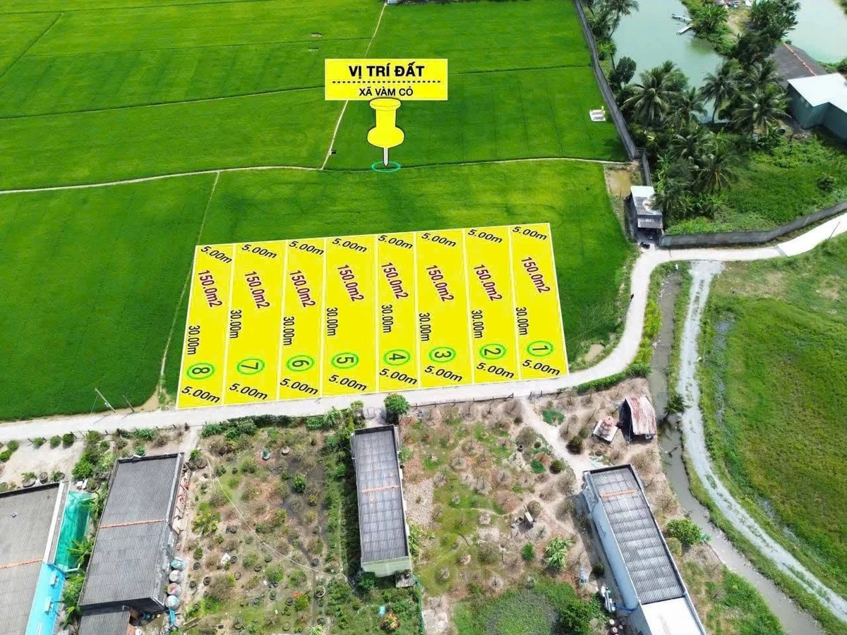 Bán đất thổ cư 100% 150m² giá 399 triệu Tân Trụ Long An - Ảnh 1