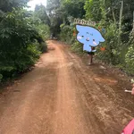 Bán đất cao su 5 sào ở Lộc Điền, Bình Phước - Ảnh thu nhỏ 1