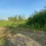 Bán đất lúa lộ ô tô Long Xuyên 2250m2, 1,1 tỷ - Ảnh thu nhỏ 4