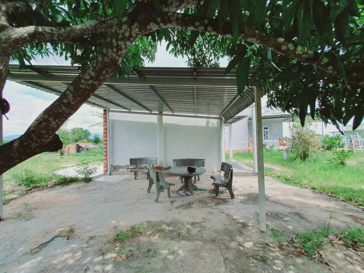 Bán nhà vườn Bình An 1674m² giá 2 tỷ 250 - Ảnh thu nhỏ 4