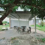 Bán nhà vườn Bình An 1674m² giá 2 tỷ 250 - Ảnh thu nhỏ 4