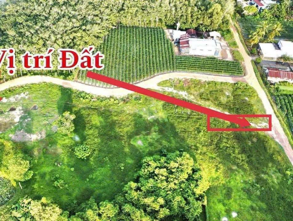 Bán đất Ninh Điền Châu Thành Tây Ninh 155m2, 139 triệu - Ảnh 1