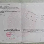 Bán 2400 mét vuông đất lúa mặt tiền đường 2m tại xã Tầm Vu, Tây Ninh - Ảnh thu nhỏ 3
