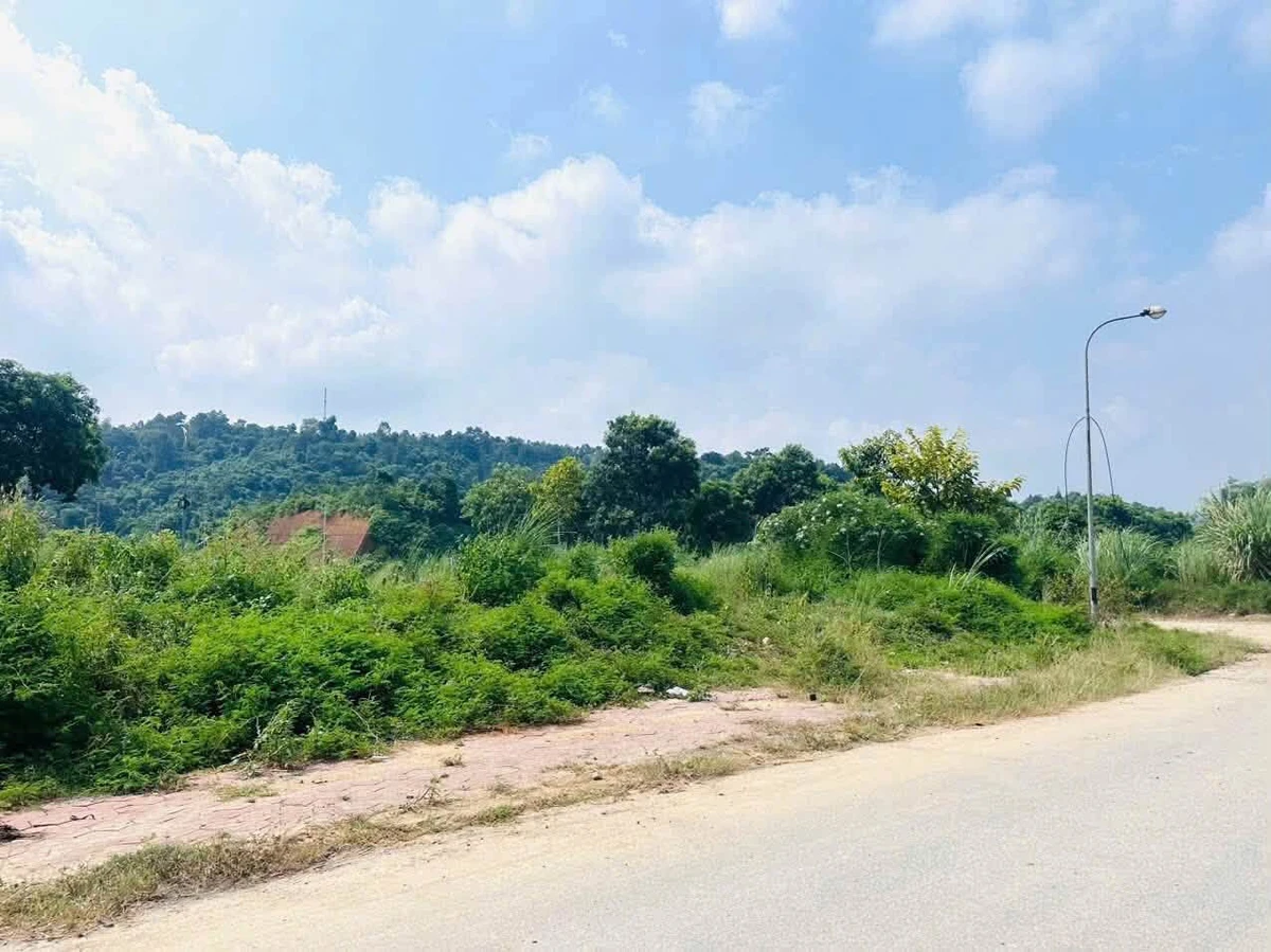 Bán đất 95m2 đường Nguyễn Tuân B9, giá 1 tỷ 80 triệu - Ảnh 1