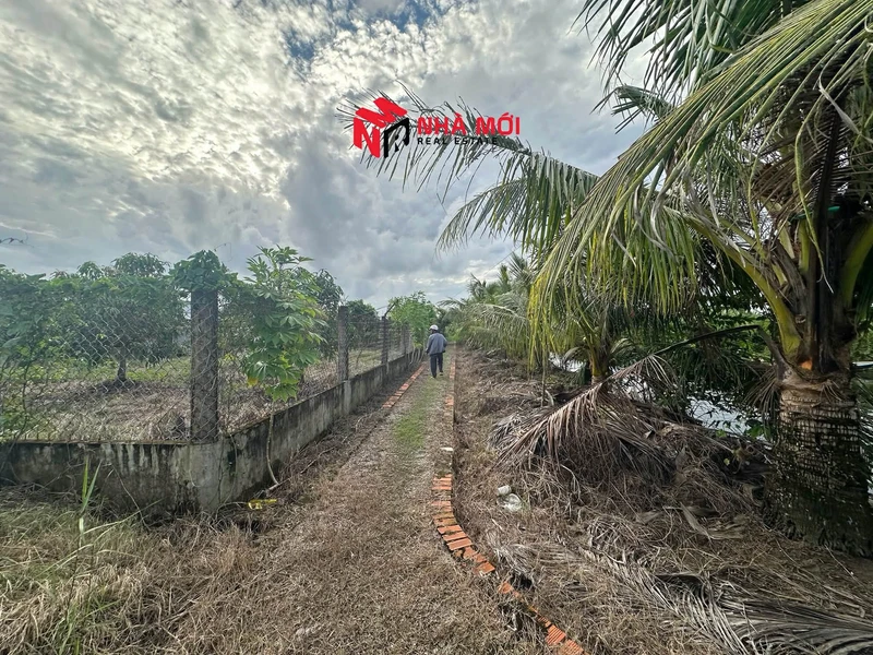 Bán đất vườn 2592m² Cà Mau 1 tỷ 890 triệu