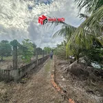 Bán đất vườn 2592m² Cà Mau 1 tỷ 890 triệu - Ảnh thu nhỏ 1