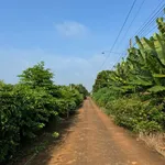 Bán đất 3000m2 tại Cẩm Mỹ, Đồng Nai, giá 4.6 tỷ - Ảnh thu nhỏ 1