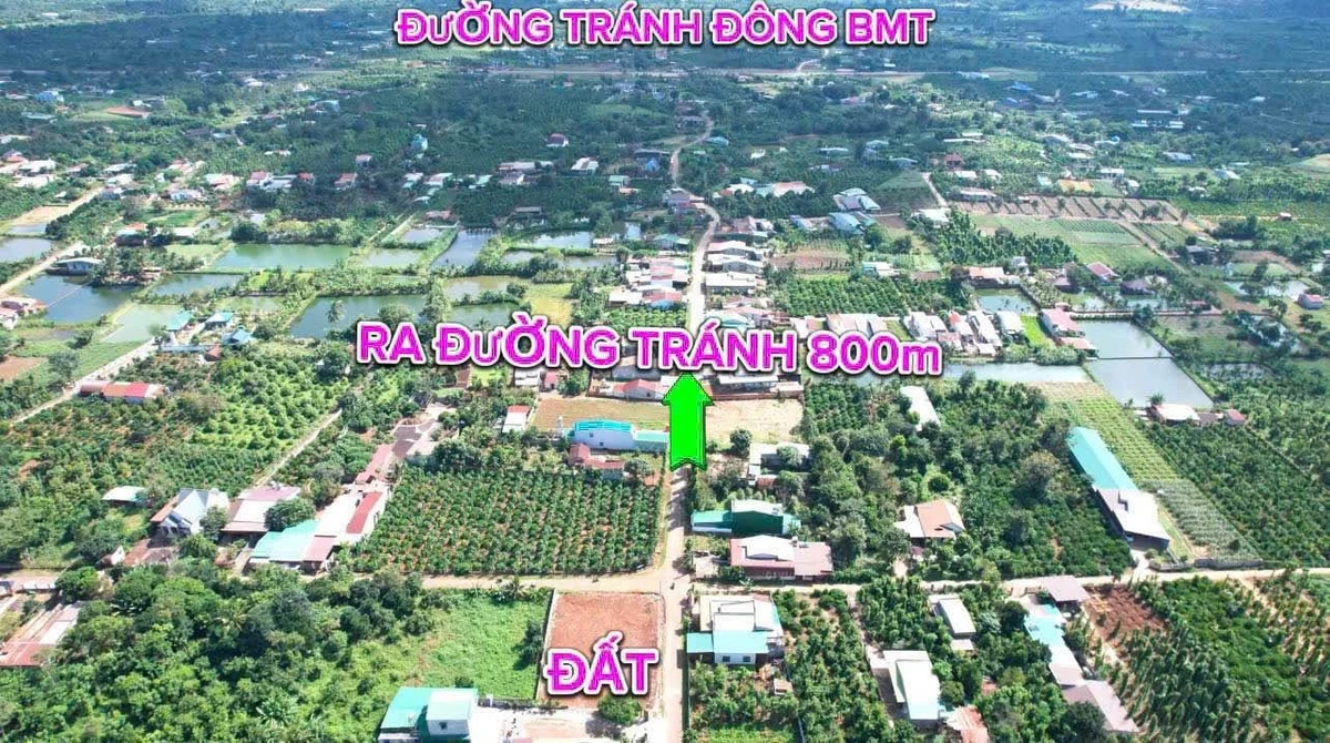 Bán đất thổ cư 10x26m sổ hồng, mặt tiền đường nhựa, phường Ea Kao, Buôn Ma Thuột - Ảnh thu nhỏ 5