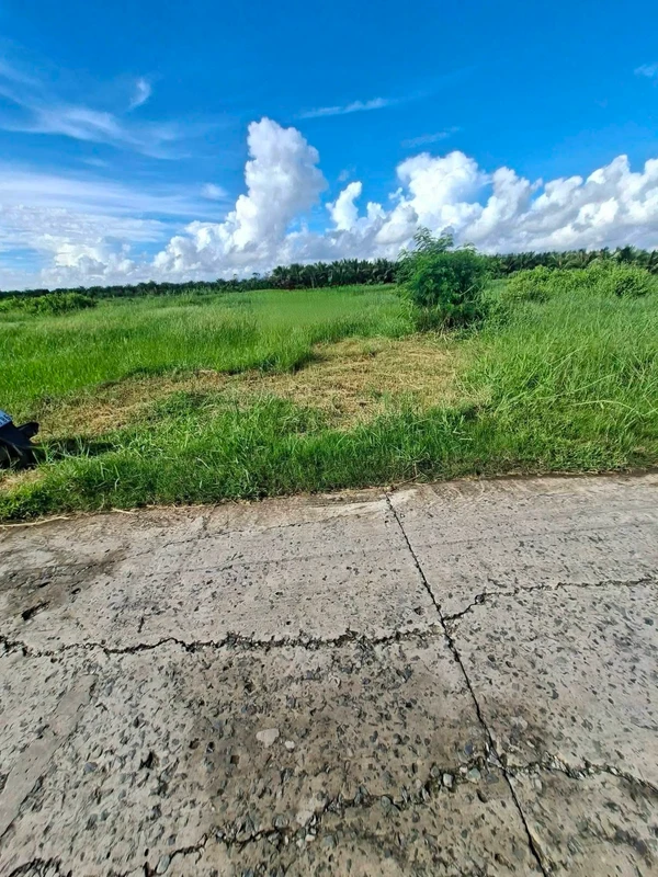 Bán đất nền Gò Công Đông 318,5 m² giá 290 triệu