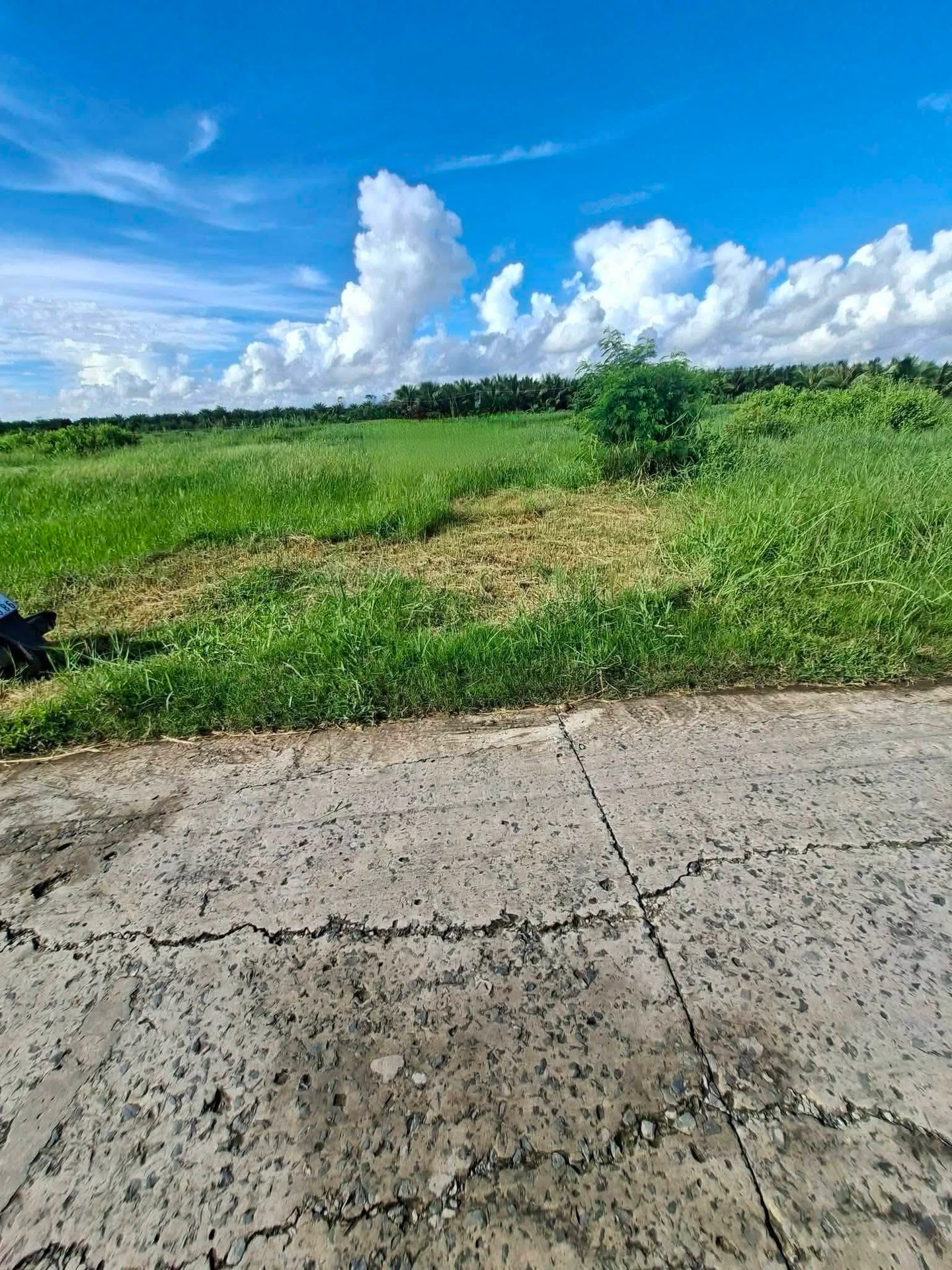 Bán đất nền Gò Công Đông 318,5 m² giá 290 triệu - Ảnh 1