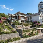 Bán nhà gỗ 456m² view đẹp Đã Lạt 11 tỷ - Ảnh thu nhỏ 1
