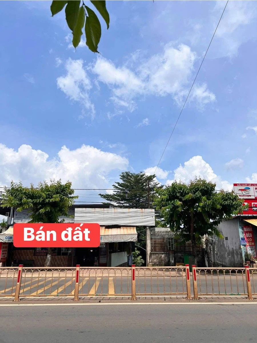 Bán đất góc 2 mặt tiền 684m2 Hồ Thị Hương, Bình Chánh - Ảnh thu nhỏ 3