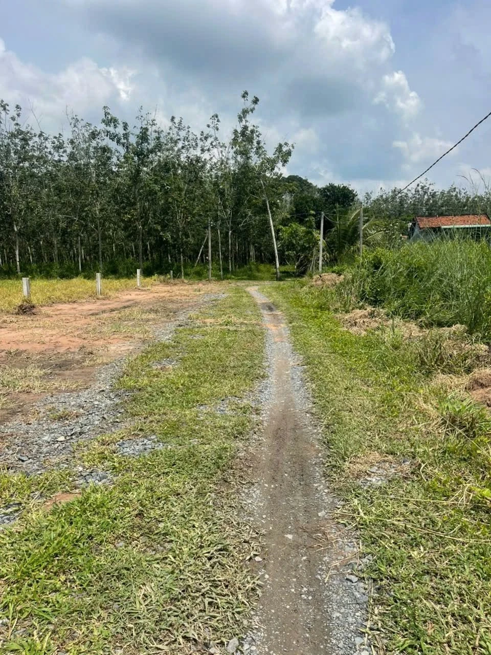Đất thổ cư 100m2 Thạnh Đức, Tây Ninh, 190 triệu - Ảnh 1