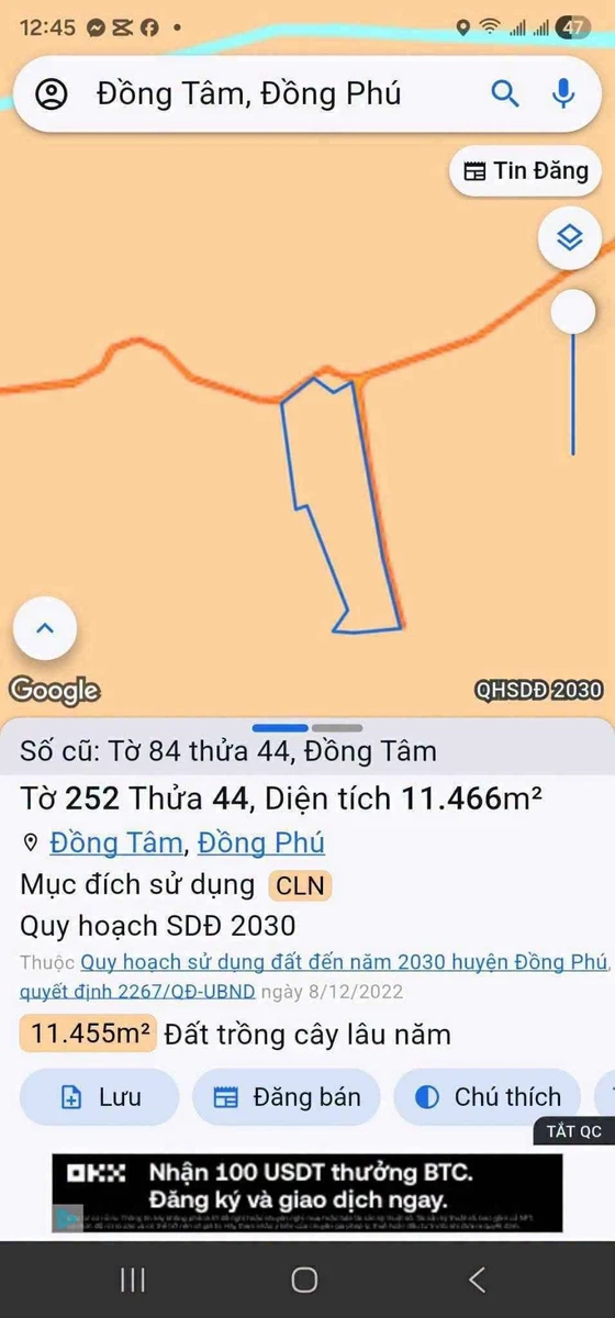 Bán gấp 1.1 ha đất mặt tiền Đồng Phú, Bình Phước - Ảnh thu nhỏ 5