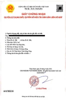 Bán đất tại Xã Mỹ Hòa, Tháp Mười, Đồng Tháp, 16 tỷ, 3053,5 m2 - Ảnh thu nhỏ 5